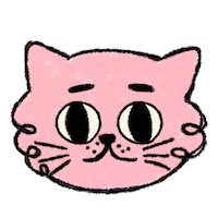marii_nuriulu cat pink kitty mariinuriulu GIF