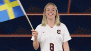 Soccer Flag GIF by Carson-Newman Athletics