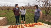 Amazing Race Canada Tarc GIF by CTV