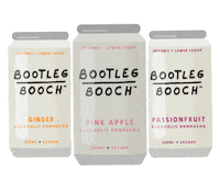 Kombucha Brew Sticker by Bootleg Booch