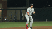 College Baseball Celebration GIF by Cincinnati Bearcats