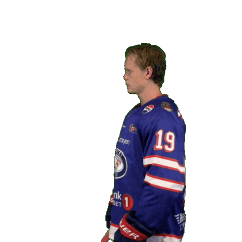 Match Matchday Sticker by VIF Hockey