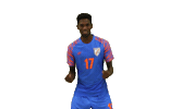 indianfootball bluetigers Sticker by Indian Super League