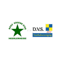 Sport Heerlen Sticker by Groene ster
