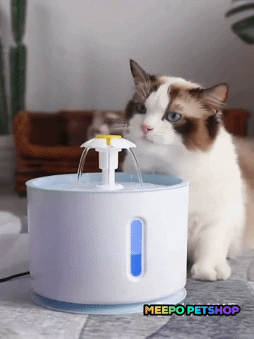 mauriciobrollo giphygifmaker GIF