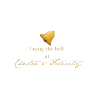 Dress Sticker by Chester & Felicity