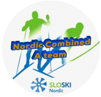 Nordiccombined Sticker by SloSki