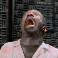 Cult Film Help GIF by Arrow Video