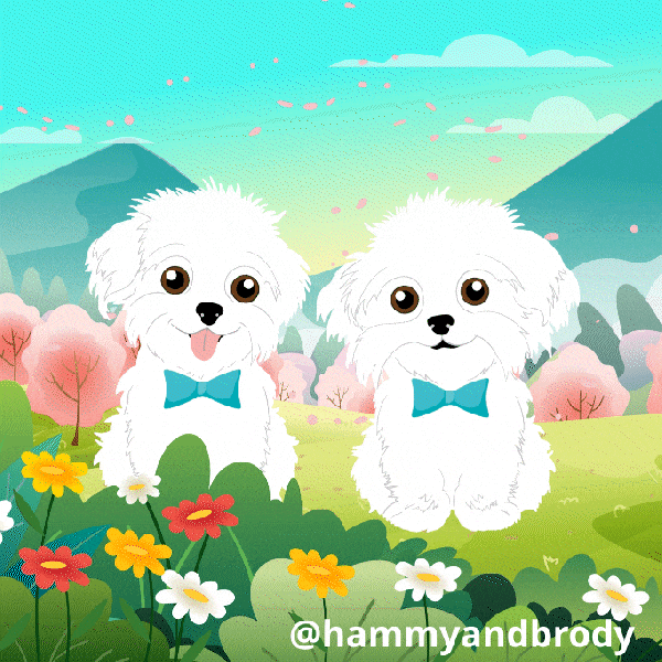 Dog Here Ya Go GIF by HammyandBrody