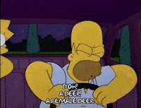 homer simpson GIF