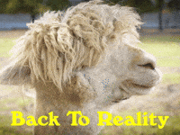 Youre Back Monday Morning GIF by Sealed With A GIF
