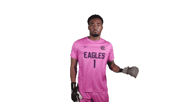 Wave Goalkeeper Sticker by Carson-Newman Athletics