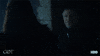gameofthrones hbo game of thrones GIF