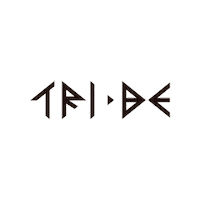 Kpop Sticker by TRI.BE