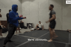 Mixed Martial Arts Sport GIF by UFC