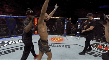 Sport Mma GIF by UFC