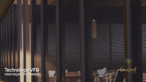 zikaii giphyupload GIF
