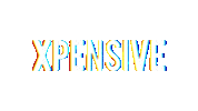 xpensive logo glitch xpensive Sticker