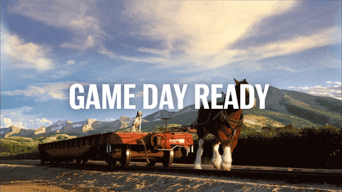 GIF by Budweiser