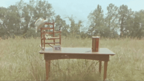 Country Music Texas GIF by Chase Bryant