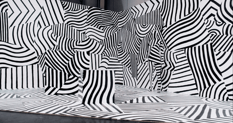 pmdtechnologies giphyupload 3d black and white illusion GIF