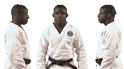 Martial Arts Fun Sticker by Paris Saint-Germain Judo