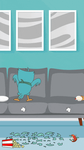Fly Flying GIF