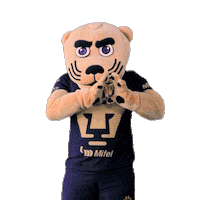 Football Sport Sticker by Pumas MX
