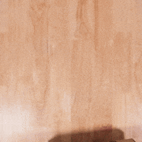 Box Opening GIF