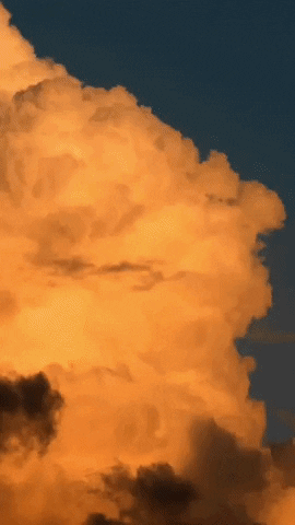 alejandravega17fb giphyupload GIF