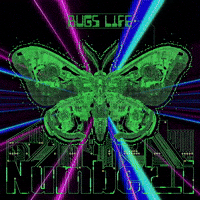 Bug Numberi GIF