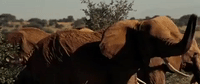 dark of the moon transformers GIF