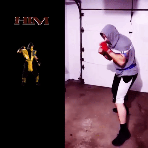 combat precise martial arts GIF