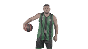 Liga Endesa Basketball Sticker by ACB