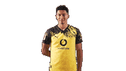 Borussia Dortmund Smile Sticker by Bundesliga
