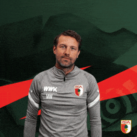 Video Bundesliga GIF by FC Augsburg 1907