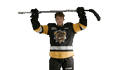 BrantfordBulldogs bulldogs brantford brantford bulldogs briir long Sticker