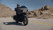 Brand Adventure GIF by Harley-Davidson