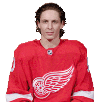 Ice Hockey Sport Sticker by Detroit Red Wings