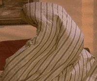 Season 3 Friends Tv Show GIF by Friends
