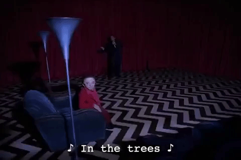 Season 2 Episode 22 GIF by Twin Peaks on Showtime