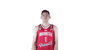 IBLindonesia basketball 2021 indonesia league Sticker