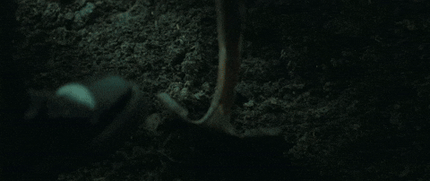 Emo Digging GIF by Better Noise Music