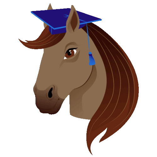 Sso Sticker by Star Stable