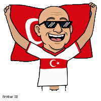 Turkish Flag Cheering Sticker by Bad Timing Studio