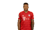 Sad Oh No Sticker by Bundesliga