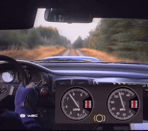 Motorsport Driving GIF by FIA World Rally Championship