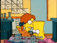 Season 1 GIF by The Simpsons