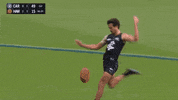 Carlton Fc Goals GIF by Carlton Football Club