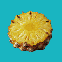 Summer Comida GIF